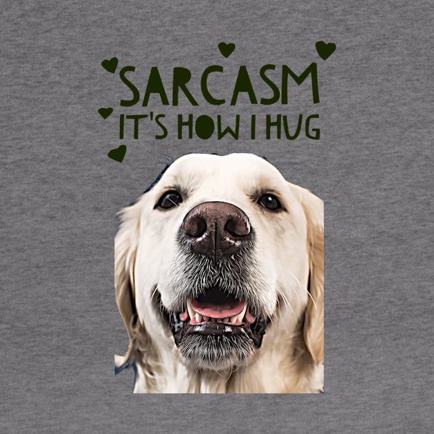 Sarcasm, its how I hug by PersianFMts